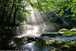 2148 Laurel Rd, Buck Hill Falls, PA 18323 - Photo 57