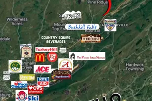 1131 Mink Ct, Bushkill, PA 18324 - Photo 61