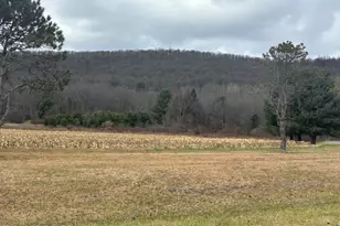 419 E White Bear Dr, Summit Hill, PA 18250 - Photo 7