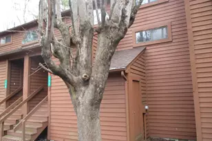 159 Stream Ct, Bushkill, PA 18324 - Photo 3