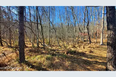  Lot 188 Stony Hollow Circle, Bushkill, PA 18324 - Photo 21