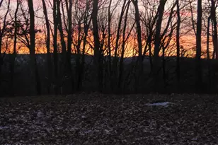 5186 Spring Dr, Swiftwater, PA 18370 - Photo 21