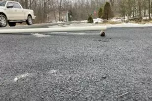 3106 Mohawk Trail, Tobyhanna, PA 18466 - Photo 13