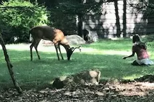 151 S Lake Dr, Lake Harmony, PA 18624 - Photo 101