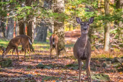  151 S Lake Drive, Lake Harmony, PA 18624 - Photo 95