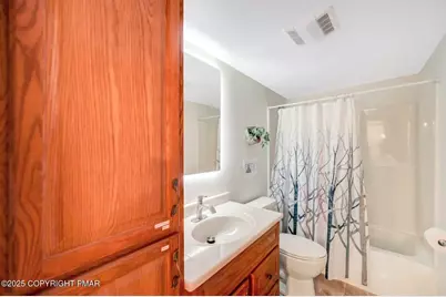  151 S Lake Drive, Lake Harmony, PA 18624 - Photo 39