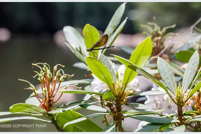  614 Graystones Jeras Lot Av-4 Road, Albrightsville, PA 18210 - Photo 17