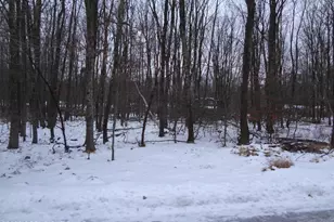 9153 Twin Lake Dr, Kunkletown, PA 18058 - Photo 3