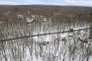 1437 State Route 534, Albrightsville, PA 18210 - Photo 59