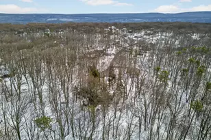 2329 Cramer Ct, Bushkill, PA 18324 - Photo 27