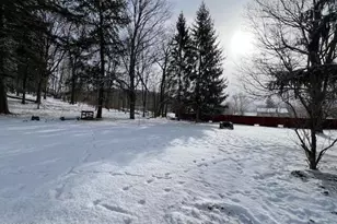 46 Fletchers Rd, Gillett, PA 16925 - Photo 3