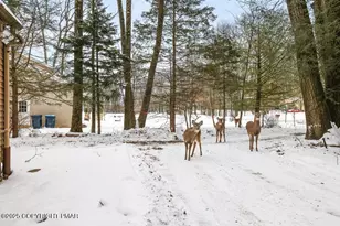 3280 Red Run Rd, Pocono Summit, PA 18346 - Photo 31