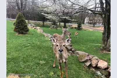  147 Dogwood Terrace, Albrightsville, PA 18210 - Photo 73
