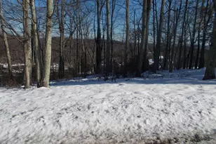 78 High Mountain Ln, Tannersville, PA 18372 - Photo 1