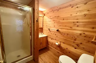 59 Chestnut Rd, Lake Harmony, PA 18624 - Photo 7