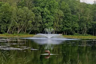 228 Edinburgh Rd, Bushkill, PA 18324 - Photo 65