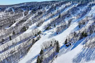 298 Overlook Way, Tannersville, PA 18372 - Photo 57