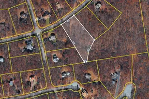 6003 Scenic Dr, Albrightsville, PA 18210 - Photo 3