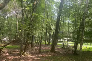 6003 Scenic Dr, Albrightsville, PA 18210 - Photo 1