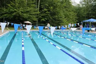 111 Oswayo Dr, Pocono Lake, PA 18347 - Photo 67