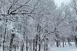 407 Pine Tree, Albrightsville, PA 18210 - Photo 1