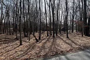 503A Woodland Rd, Jim Thorpe, PA 18229 - Photo 1