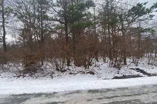 407 Pinetree Rd, Albrightsville, PA 18210 - Photo 9