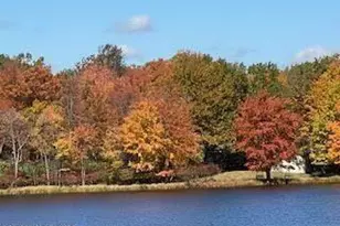 407 Pinetree Rd, Albrightsville, PA 18210 - Photo 11