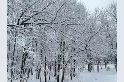  407 Sassafras Road, Albrightsville, PA 18210 - Photo 1