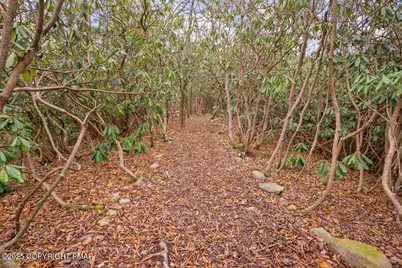  1251 Hunter Lane, Long Pond, PA 18334 - Photo 17