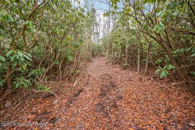  1251 Hunter Lane, Long Pond, PA 18334 - Photo 33