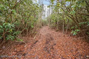 1251 Hunter Ln, Long Pond, PA 18334 - Photo 33