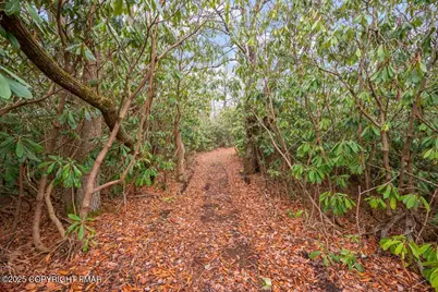  1251 Hunter Lane, Long Pond, PA 18334 - Photo 31