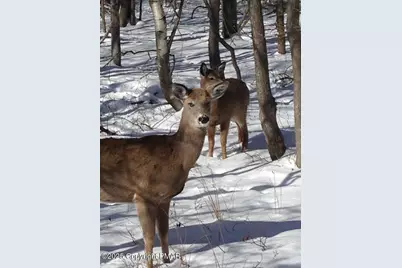  3144L Spring Court, Bushkill, PA 18324 - Photo 17