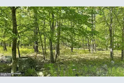 3144L Spring Court, Bushkill, PA 18324 - Photo 5