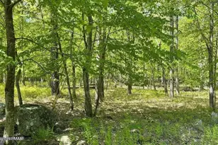 3144L Spring Ct, Bushkill, PA 18324 - Photo 5
