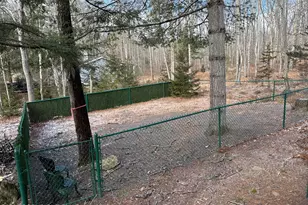 2317 Locust Ridge Rd, Pocono Lake, PA 18347 - Photo 43