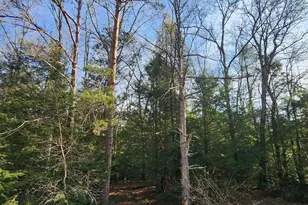 Lot Ev378 Towamensing Trail, Albrightsville, PA 18210 - Photo 3