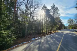 Lot Ev378 Towamensing Trail, Albrightsville, PA 18210 - Photo 5