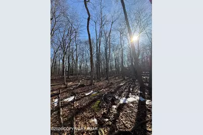  803 Selig Rd, Pocono Lake, PA 18347 - Photo 1