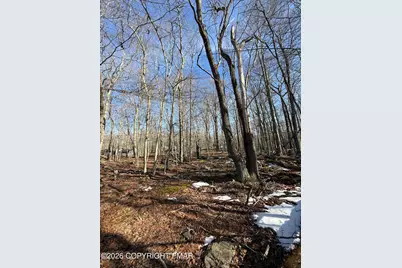  803 Selig Rd, Pocono Lake, PA 18347 - Photo 3