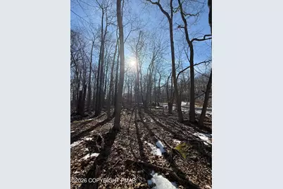  804 Selig Road, Pocono Lake, PA 18347 - Photo 1