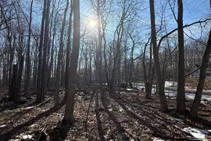 804 Selig Rd, Pocono Lake, PA 18347 - Photo 1