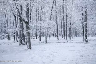 93 Iroquois Rd, Albrightsville, PA 18210 - Photo 3