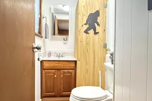 46 Thomas Ln, Albrightsville, PA 18210 - Photo 9