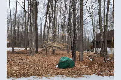  107 Mineola Cir 107 Circle, Pocono Lake, PA 18347 - Photo 3