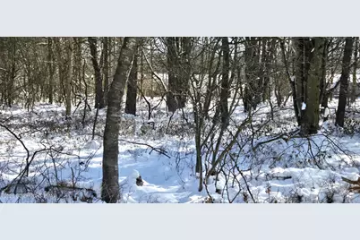  Dp1445 Blackfoot Trail, Albrightsville, PA 18210 - Photo 1