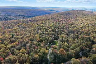 109 Forest Lake Dr, Jim Thorpe, PA 18229 - Photo 121