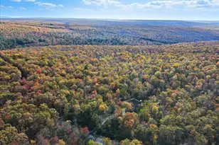 109 Forest Lake Dr, Jim Thorpe, PA 18229 - Photo 123