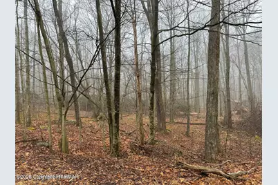  Lookout Point Rd, Lot 91, Canadensis, PA 18325 - Photo 1